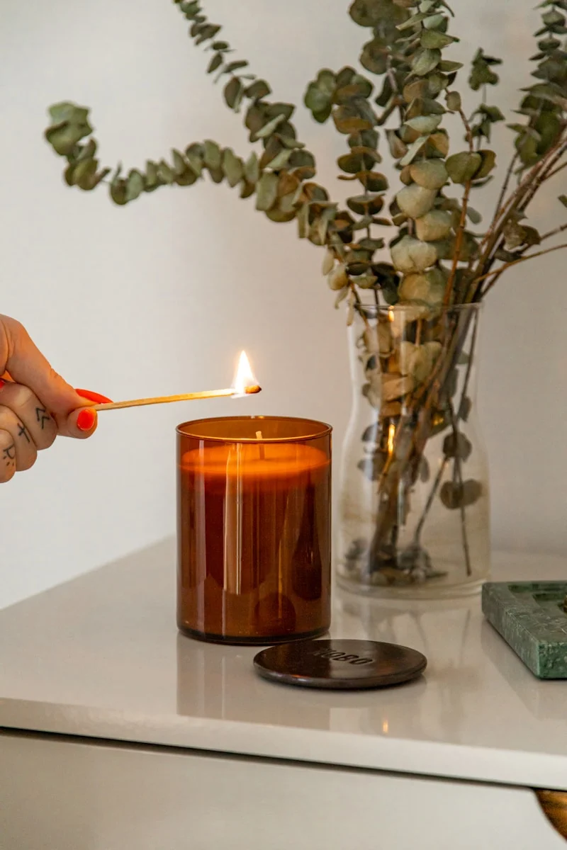 person holding lighted candle near green plant
